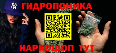 стаф Лесосибирск