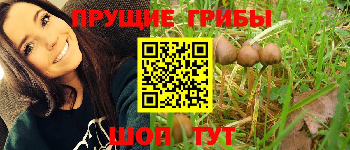 Галлюциногенные грибы Cubensis  что такое наркотик  Гагарин  Вход с VPN 