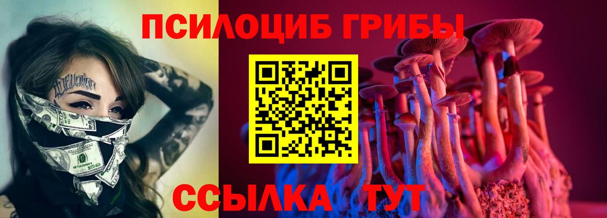 Галлюциногенные грибы Psilocybine cubensis Гагарин